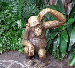 Vor dem Schimpansen Gehege