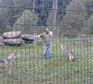 Fsfütterung sehr empfehlenswert