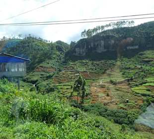 Hochland von Sri Lanka