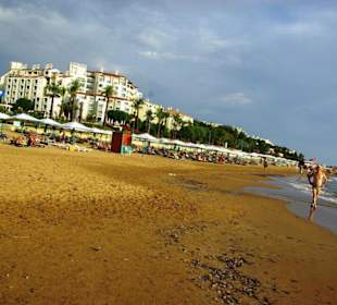 Inspirationen an d.Strandprom.entlang Nov.2010