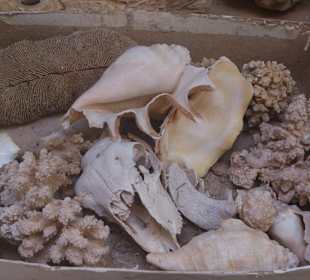 Fahrradausflug in die Wüste