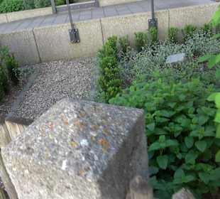 Medizinalgarten Nördlingen