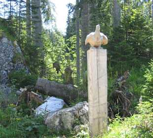 Weg zur Kührointalm