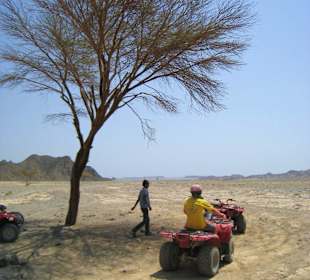 Quadtour