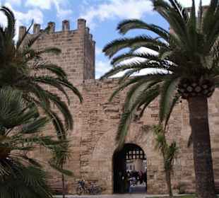 Alcudia