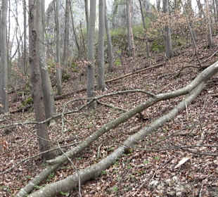 Höhle "Große Grotte"