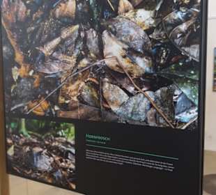 Museum für Ur- und Frühgeschichte