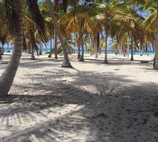 Saona Tour mit Guide Andy Bayahibe Ausflüge