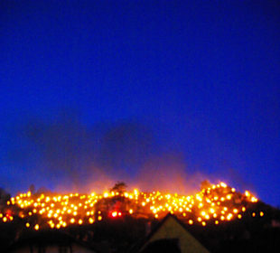 Südhang hin gesehen