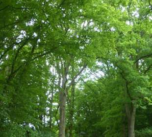 Unterwegs auf der Sisi-Tour in Bad Kissingen