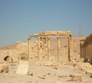 Palmyra