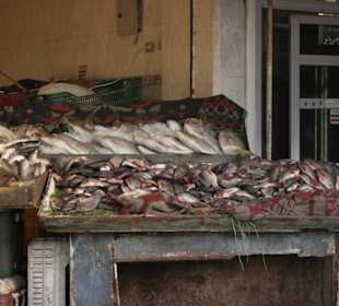 Marktleben in El-Daharr