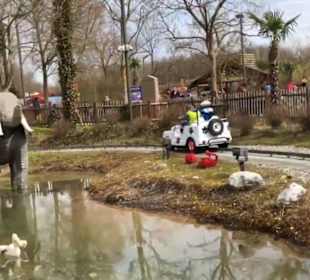 Land der Abenteuer - Safari Tour