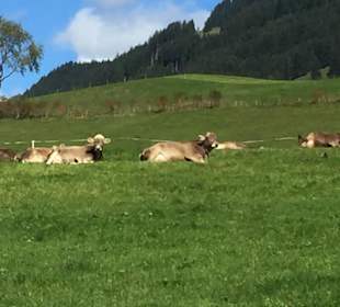 Wandern Oberstdorf