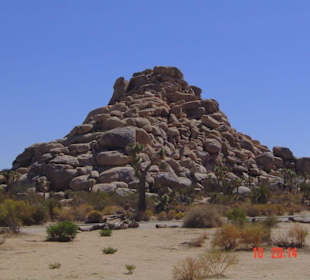 Joshua Tree National Park