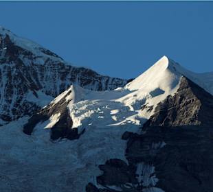 Silberhorn