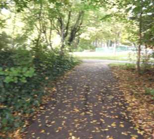 Fastnachtsmuseum Narrenschopf