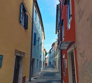 Altstadt Novigrad