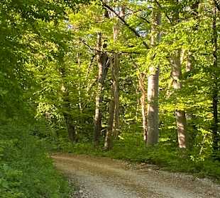 Wandern Leutasch