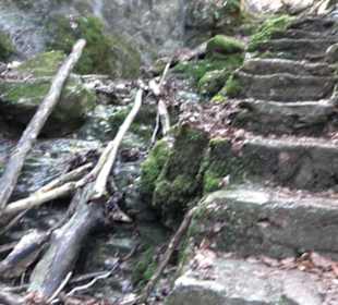 Wolfsschlucht