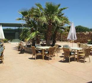 Aloe Vera Farm Mallorca