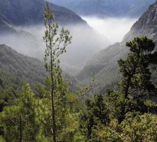 Am Eingang der Samariaschlucht