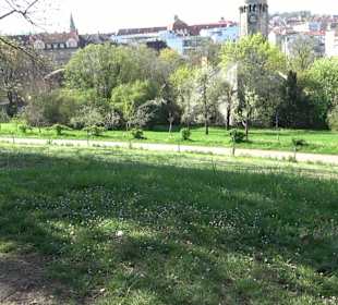 Rosengarten Villa Berg