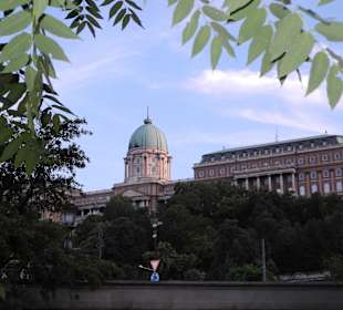 Burgpalast von der Donau gesehen