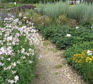 ALB-GOLD Naturgarten