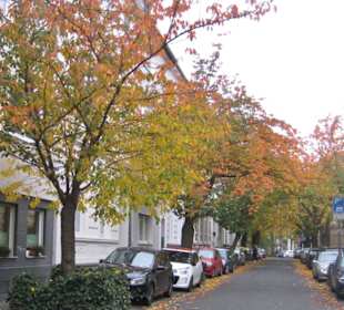 Altstadt Bonn / Breite Straße