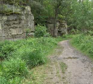Wanderweg - Alter Steinbruch Pfaffenberg Runde