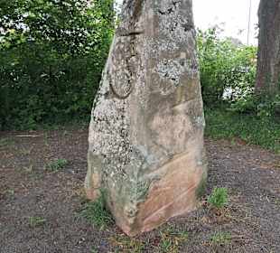 Naturschutzgebiet am Seewoog