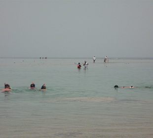 Šnorchlování při odlivu