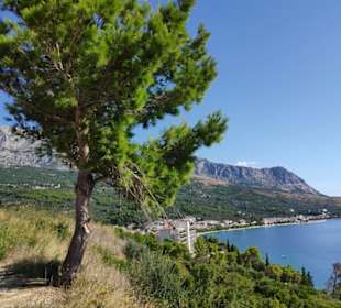 Blick zurück nach Tucepi