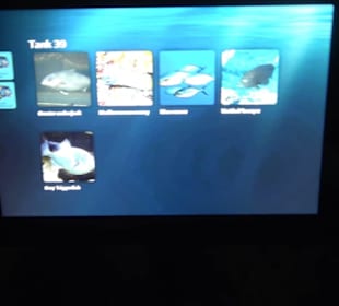 National Aquarium Malta