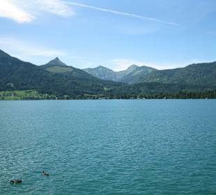Panorama am Wolfgangsee