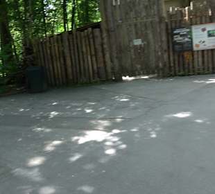 Tierpark Hellabrunn