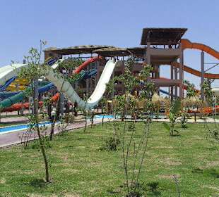 Jungle Aqua Park