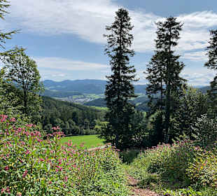 Wandern Haslach im Kinzigtal