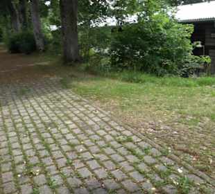 Alte Schmiede Auingen