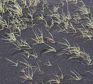 Im Graben am Miðlína / Mid-Point