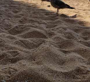 Praia de Nossa Senhora da Rocha