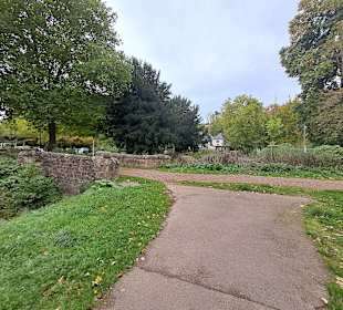 Burg Kerpen in Illingen