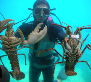 Schaurig schöne Meeresbewohner