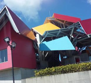 Gehrymuseum