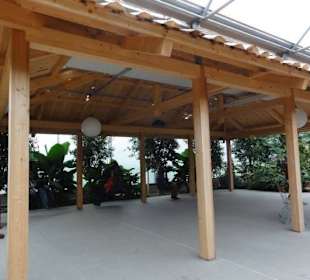 Raffeiner Orchideenwelt