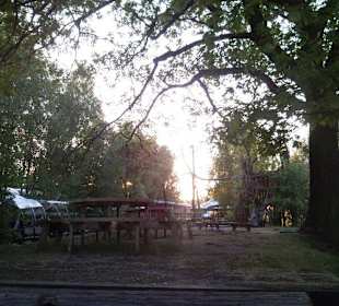 Der Ausblick auf den Kindergrillplatz