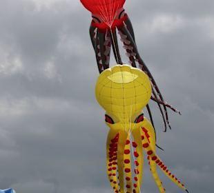 Drachenfest Kraken
