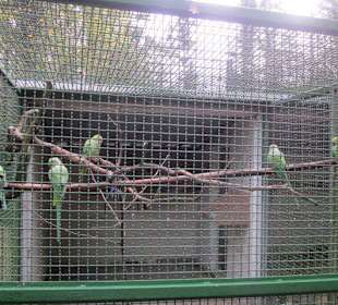 Vogelgehege