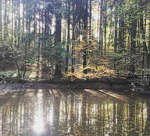 Wandern Höhr Grenzhausen